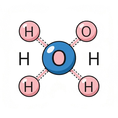 Stylized diagram of a water molecule with hydrogen bonds
